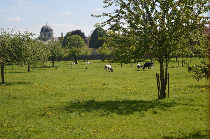 A unique place with a lush orchard and meadows with cows at pasture in the historic centre of Bruges! In the 17th century a new Cistercian abbey was erected here. During the French Revolution the abbot and monks were chased away. The abbey was first used as a military hospital and then as a military depot and grammar school. Up to the present day the Seminary of Bruges has been training catholic priests. If you want to get to know Bruges inside out, welcome to B&B Emma!